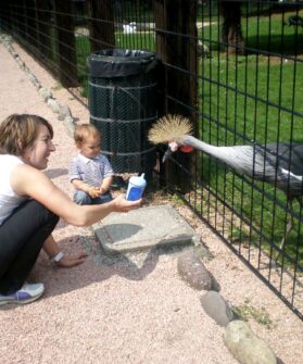 Regalo Speciale: Una giornata allo zoo