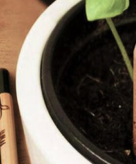 Bomboniera Matita Solidale