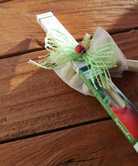 Bomboniera solidale: Matita ecosostenibile - Fondazione Albero della Vita